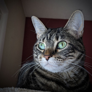 Valarie N profile image