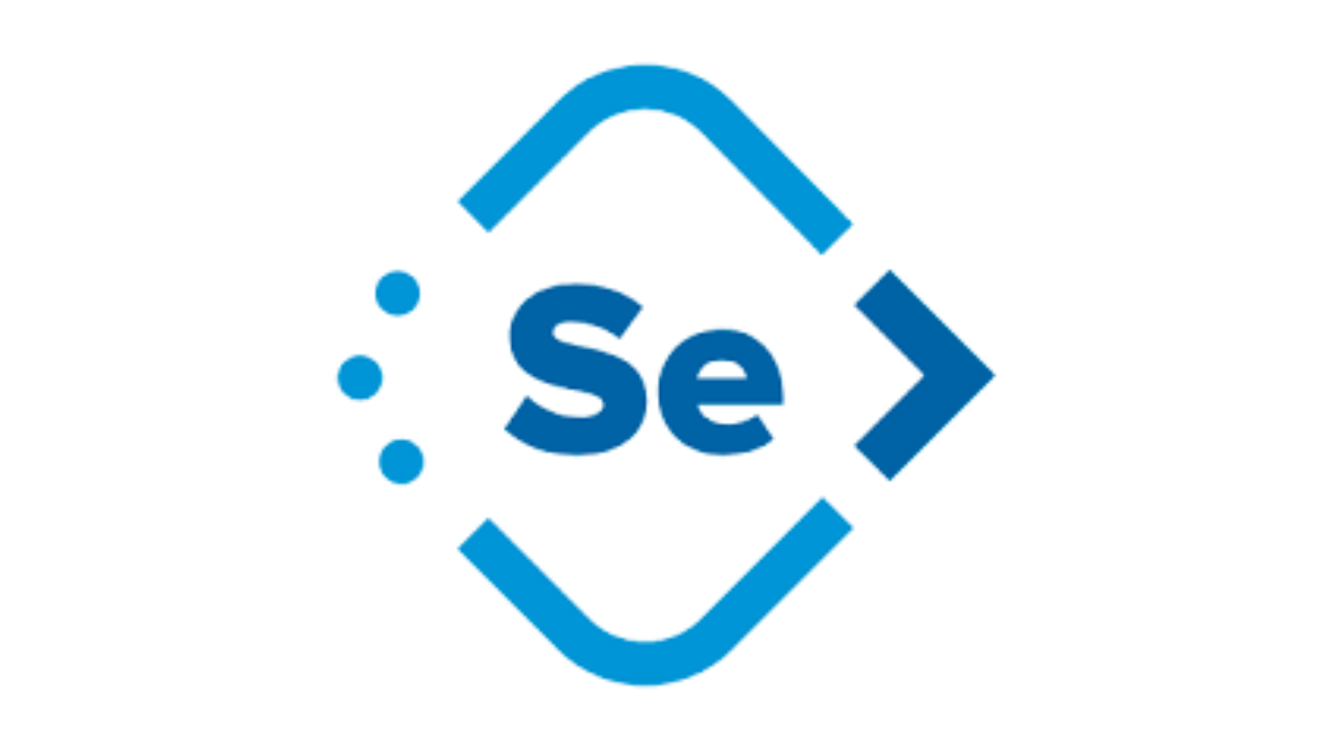 Parasoft Selenic image