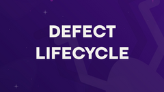 Defect lifecycle image