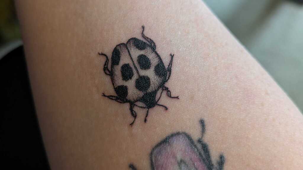 Picture of a right arm with a fresh new black lined ladybird tattoo. Above this is an older purple bug tattoo. image