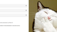 Everytime I have to confirm the information is real and correct when filling in testdata image