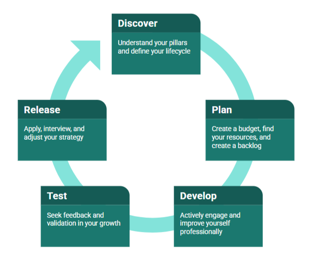 The professional resilience cycle of Discover, Plan, Develop, Test, and Release described in detail below