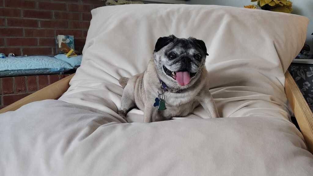 AMA about Working as a Lone Tester image