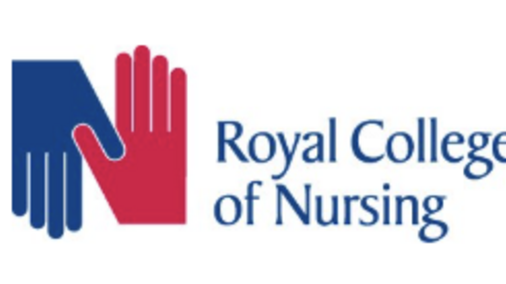 Test Team Lead image