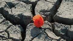 They will not break me  image