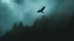 What tools do you use for API automation beyond Postman? image