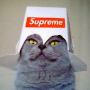 Martin Zufall profile image