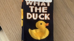 They're wonderful. image