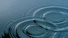 Making connections – the rain drop model image