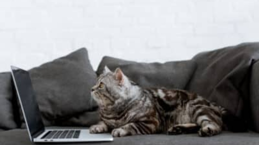 Webinar: Lovable’s AI built a 100% accessible site – or did it? image image