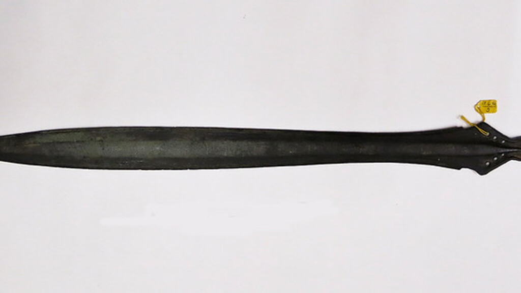 Classification: leaf-shaped swords and sword-shaped leaves image image