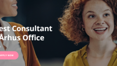 Test Consultant (DK) image