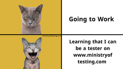 MoT Cat Yay image