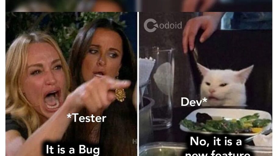 When developer isn't ready to accept a bug image